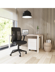 copy of Silla Elona 2